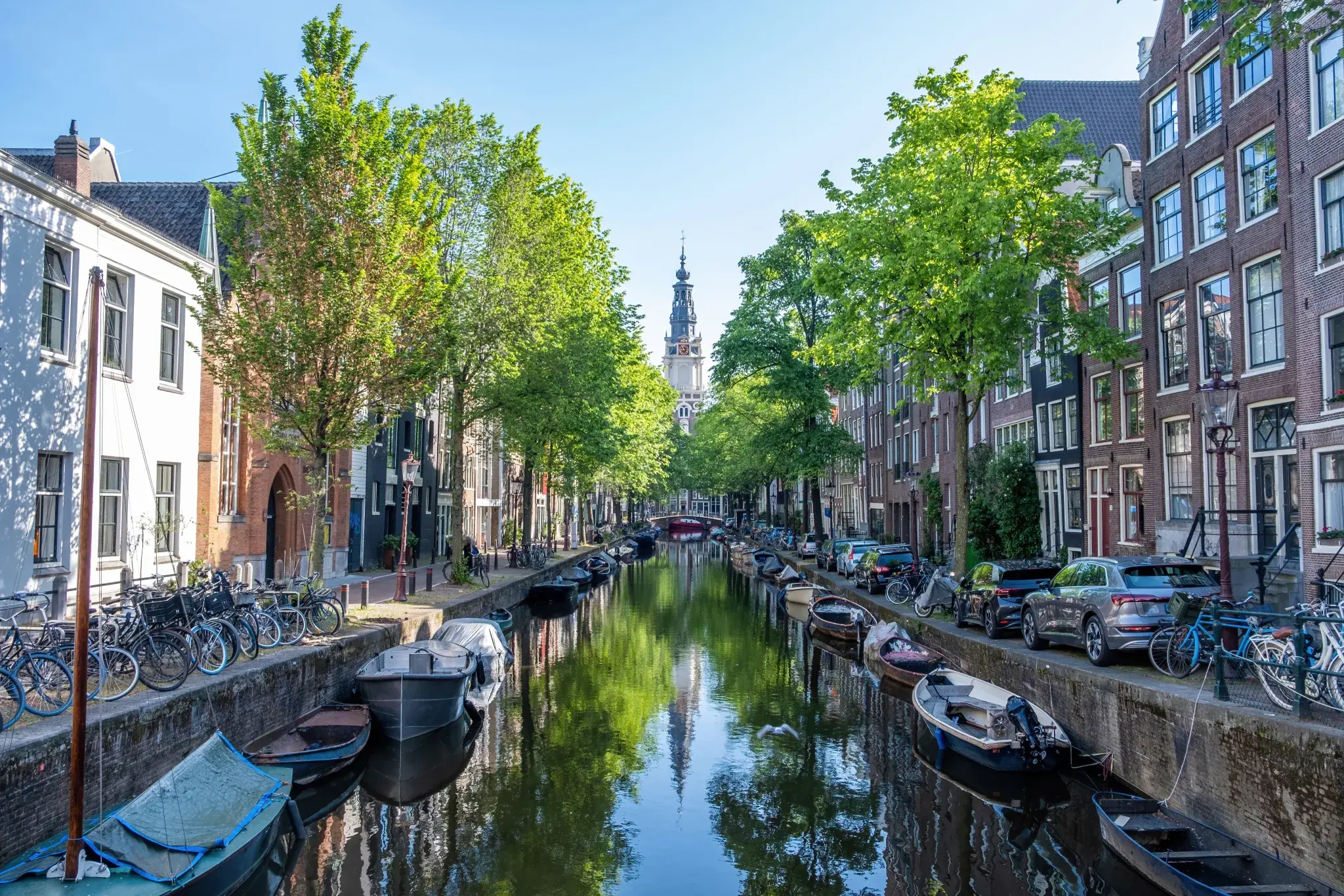 Canal in Amsterdam lined with trees and townhouses